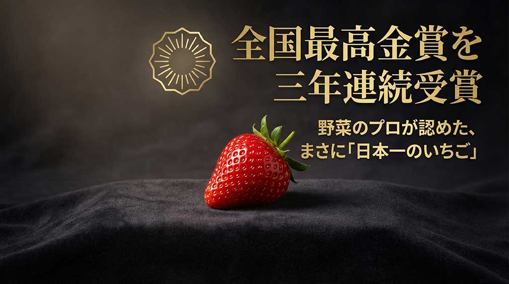 全国いちご選手権で3年連続最高金賞を受賞した「日本一のいちご」あまりんの実績紹介