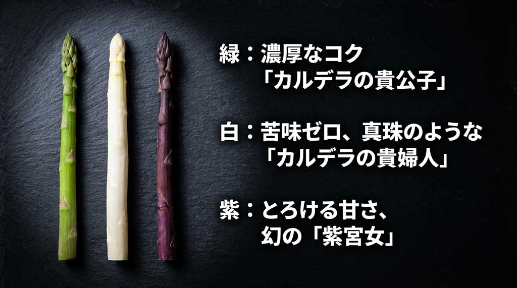 濃厚なコクの緑（貴公子）、苦味ゼロの白（貴婦人）、とろける甘さの紫（紫宮女）の特徴比較