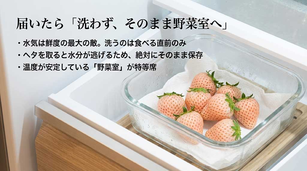 洗わずにヘタをつけたまま野菜室で保存し、食べる直前に洗うのが鮮度維持のコツ