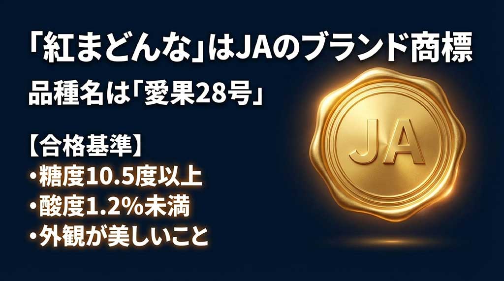 糖度10.5度以上、酸度1.2%未満など、JAが定める紅まどんなの厳しい品質合格基準のまとめ