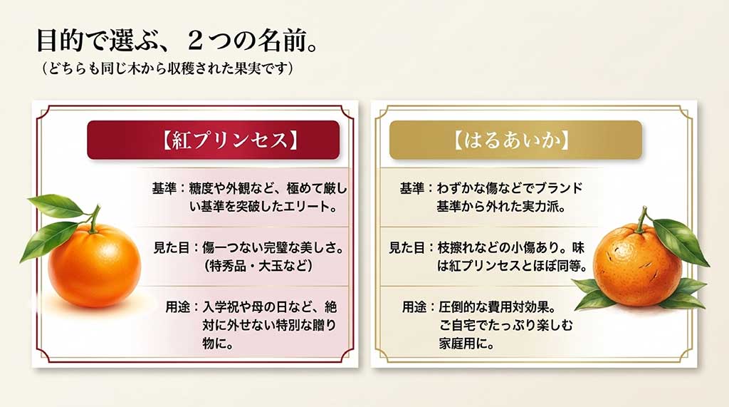 贈答用のエリート「紅プリンセス」と、家庭用の「はるあいか」の基準、見た目、用途の違い