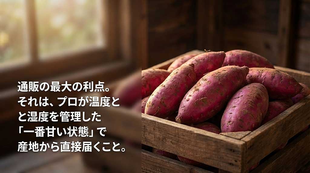 本当に美味しくなるのは11月から1月。じっくり熟成された冬が最高の食べごろであることを示す図解