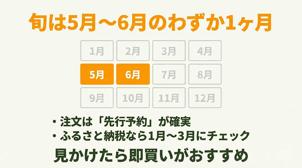 びわの旬(5月〜6月)と先行予約・ふるさと納税のタイミング表