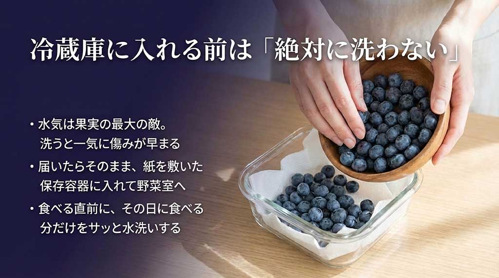 冷蔵庫に入れる前は絶対に洗わず、野菜室で保存し、食べる直前に洗うことを推奨する保存ガイド