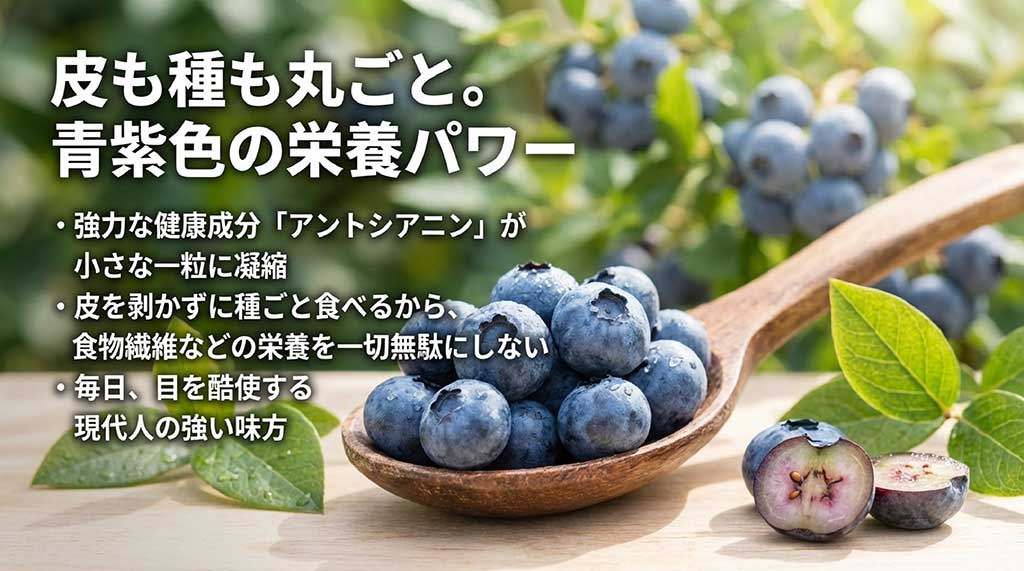 強力な健康成分アントシアニンや食物繊維が凝縮された、目を酷使する現代人の味方としての栄養解説