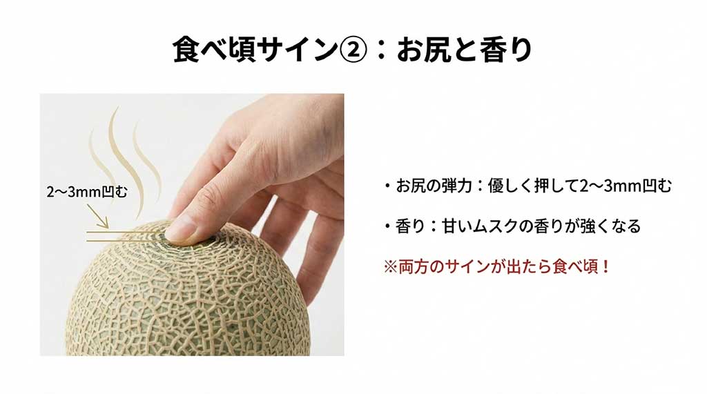 メロンのお尻を優しく押し、2〜3mmほど凹む弾力があるかを確認している様子