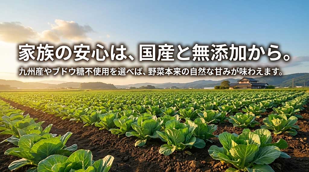 九州産やブドウ糖不使用など、国産・無添加の乾燥野菜が安心であることを説明するスライド
