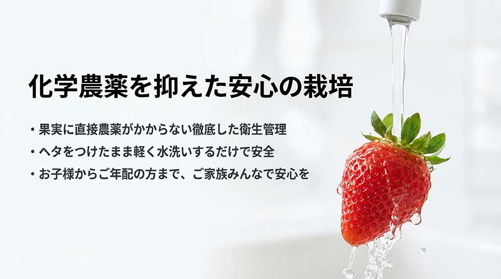 果実に直接農薬がかからない徹底した管理。軽く洗うだけで安心して家族みんなで食べられる越後姫の栽培方法