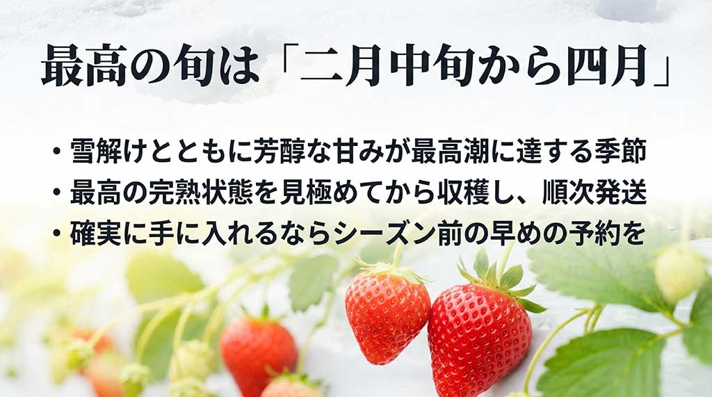 雪解けとともに甘みが最高潮に達する、2月中旬から4月のベストシーズン。完熟状態を見極めて収穫される越後姫の旬の情報
