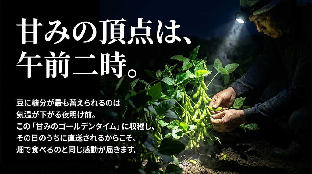 気温が下がる夜明け前の「甘みのゴールデンタイム」に収穫し、その日のうちに直送される鮮度の秘密