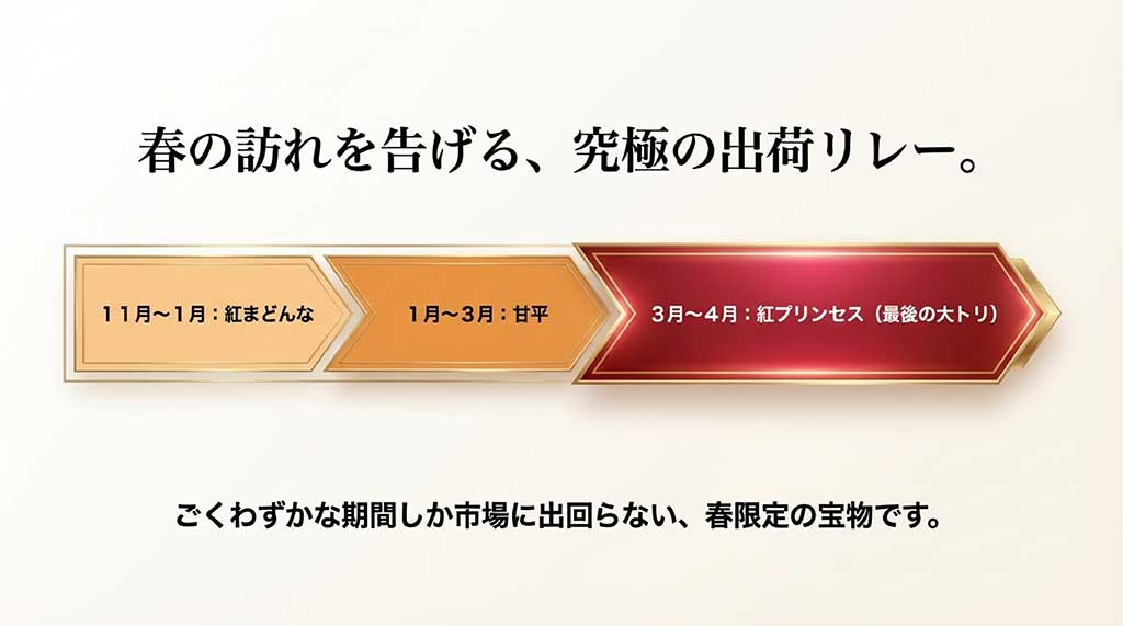 紅まどんな、甘平、そして3月〜4月の「大トリ」を飾る紅プリンセスの出荷時期リレー図解