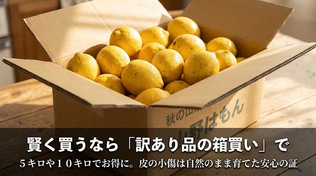 訳あり品の箱買い(5キロ・10キロ)のススメ。皮の小傷は自然に育てた安心の証