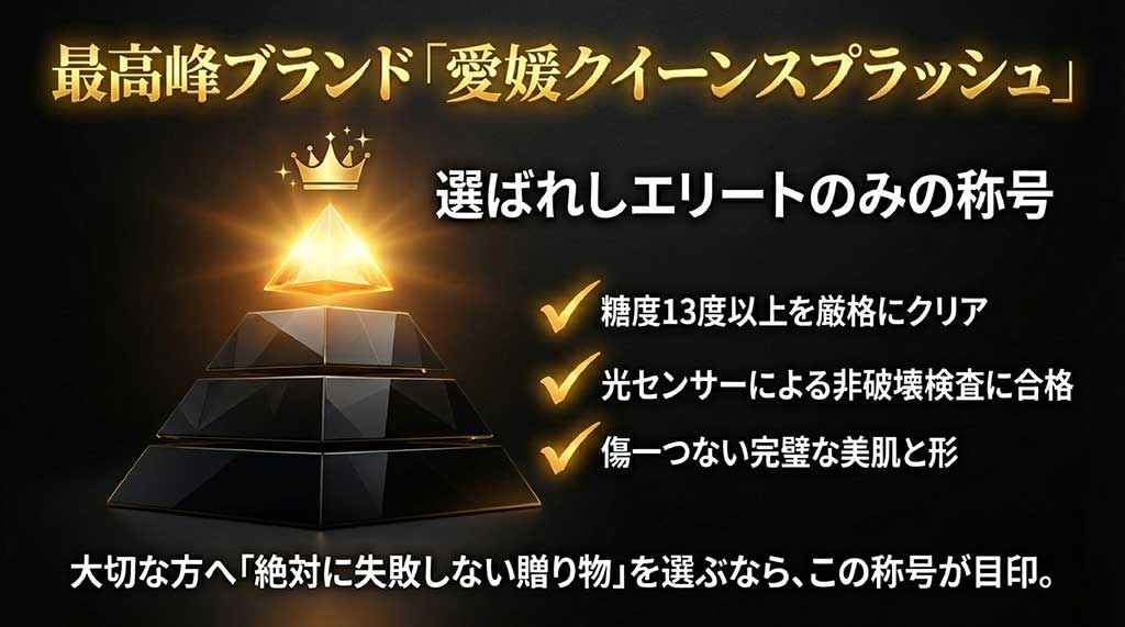 糖度13度以上、光センサー検査合格、無傷の美肌など、甘平のエリートブランド「愛媛クイーンスプラッシュ」の厳しい基準を紹介