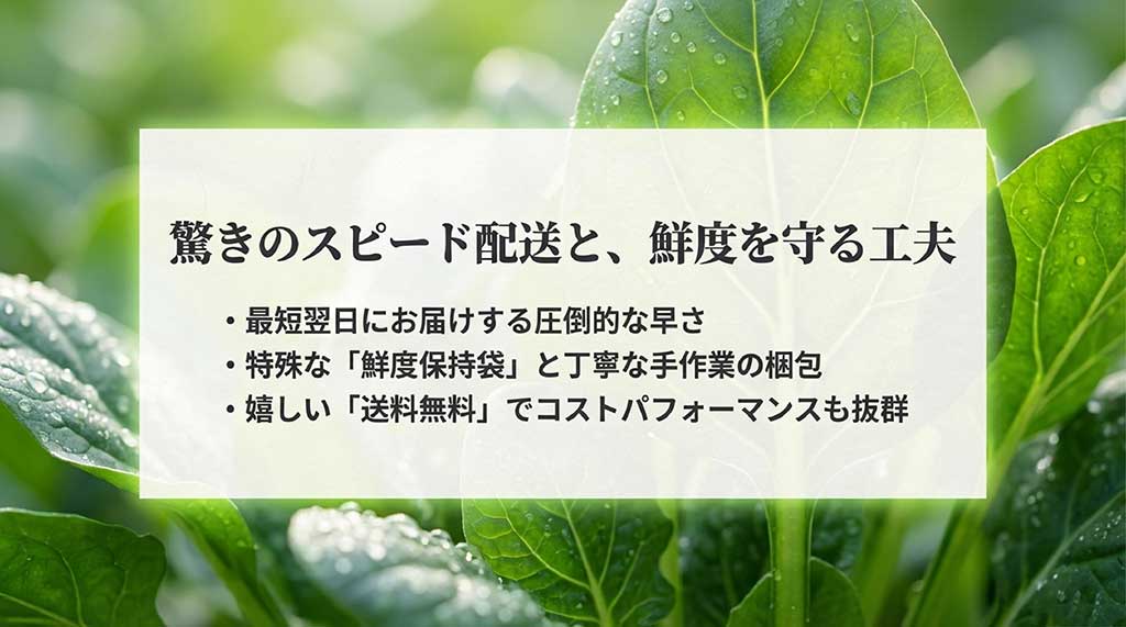 あす楽対応で鮮度抜群な野菜が送料無料で