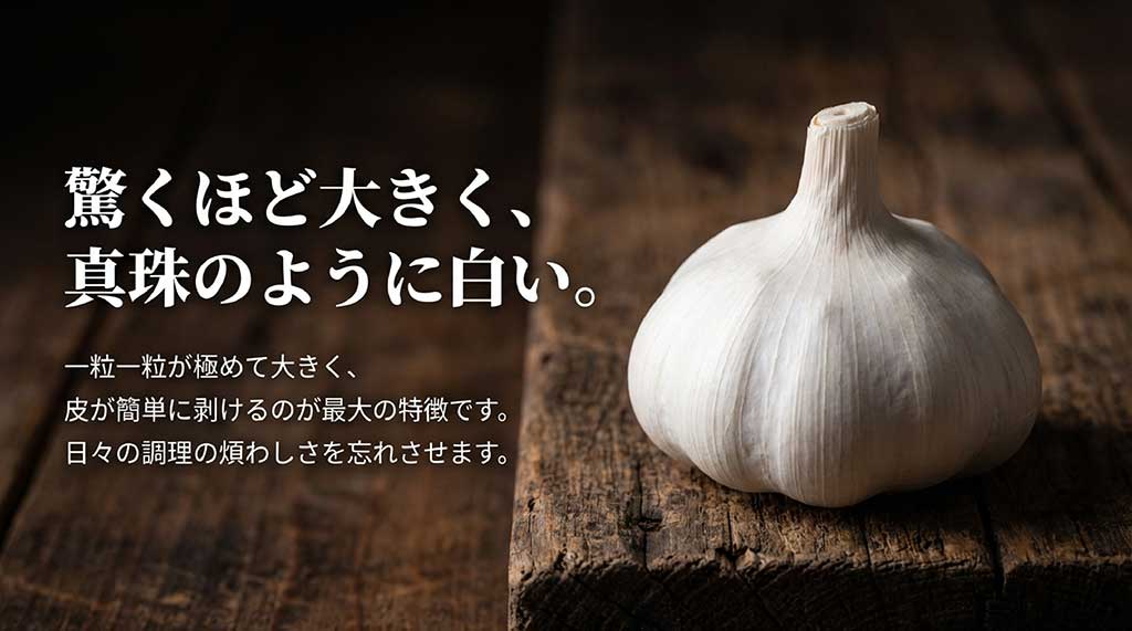 真珠のように白く大粒な福地ホワイト六片。皮が簡単に剥けるのが最大の特徴