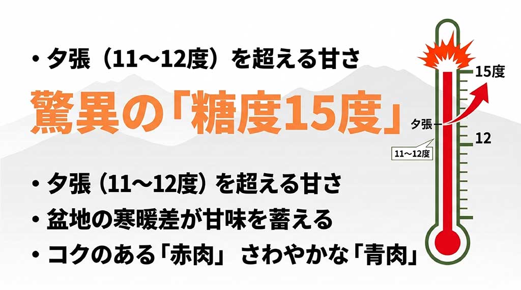 夕張メロンを超える糖度15度の甘さと、それを育む盆地特有の寒暖差についての解説