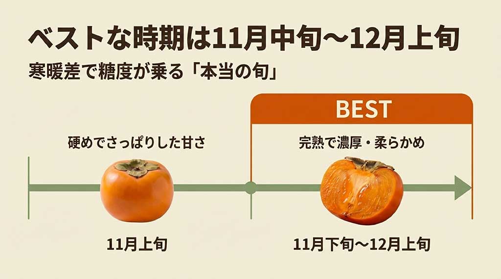11月中旬から12月上旬が富有柿のベストな時期であることを示す旬のチャート図