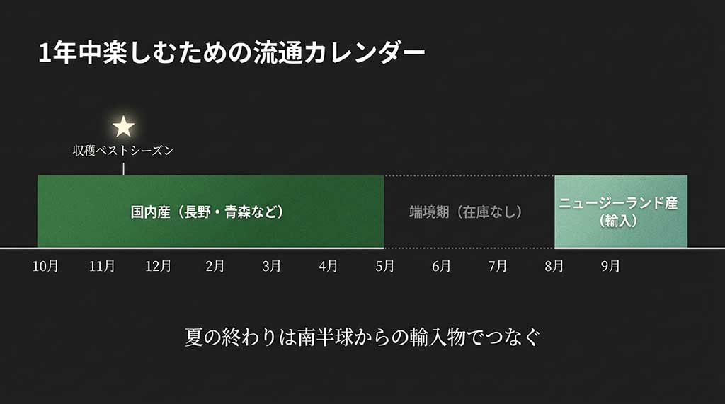 10月から4月までの国内産と、8月から9月のニュージーランド産の流通時期を示すカレンダー