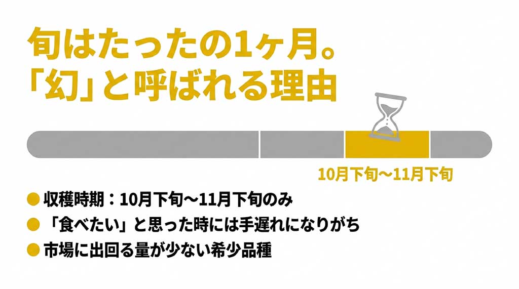 ぐんま名月が幻と呼ばれる理由。旬は10月下旬から11月下旬のわずか1ヶ月のみで、市場に出回る量が少ない希少品種であることの解説