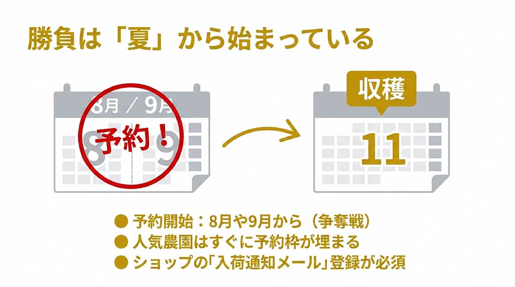 ぐんま名月の予約スケジュール。勝負は夏から始まっており、8月・9月からの予約開始に備えて入荷通知メール登録が必須であることの解説