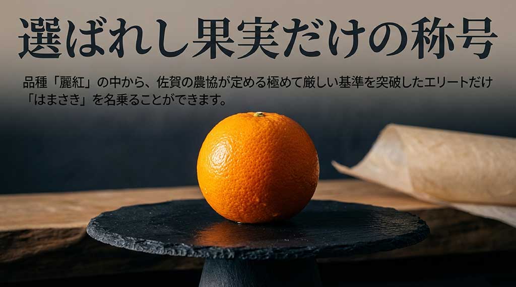 品種「麗紅」の中でも、佐賀の農協が定める厳しい基準を突破したエリートだけが「はまさき」を名乗れるという解説