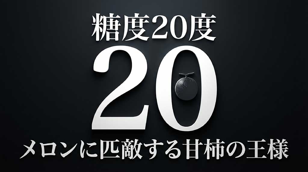 糖度20度、メロンに匹敵する甘柿の王様であることを示すスライド
