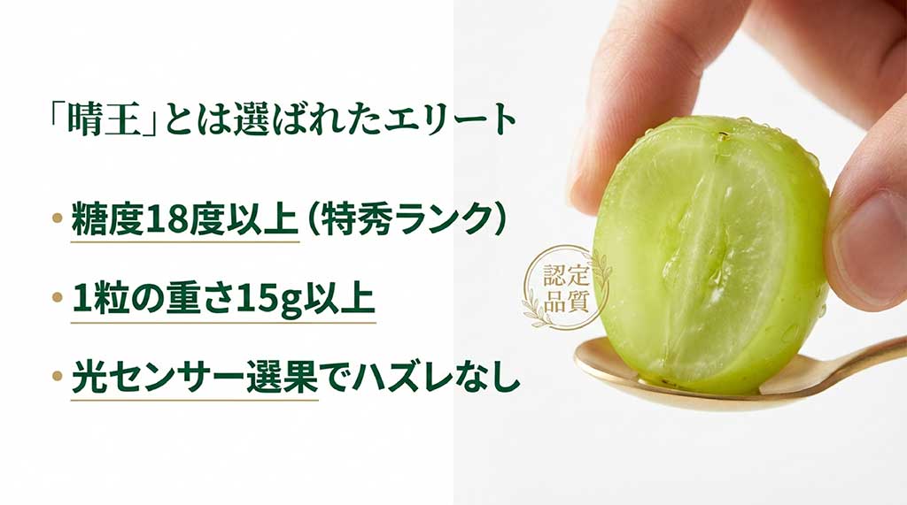 晴王の認定条件。糖度18度以上、1粒15g以上、光センサー選果などの基準を説明する図解