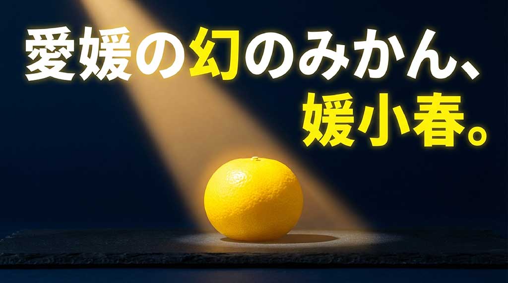 愛媛の幻のみかん、媛小春のキャッチコピーが書かれた紹介スライド