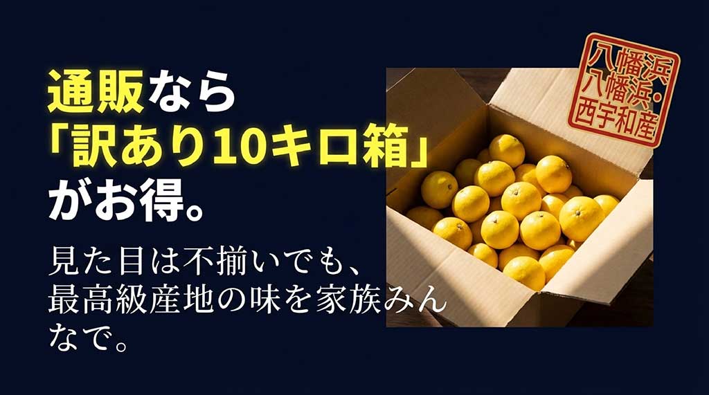 通販での購入なら八幡浜・西宇和産の訳あり10キロ箱がお得であることを紹介するスライド