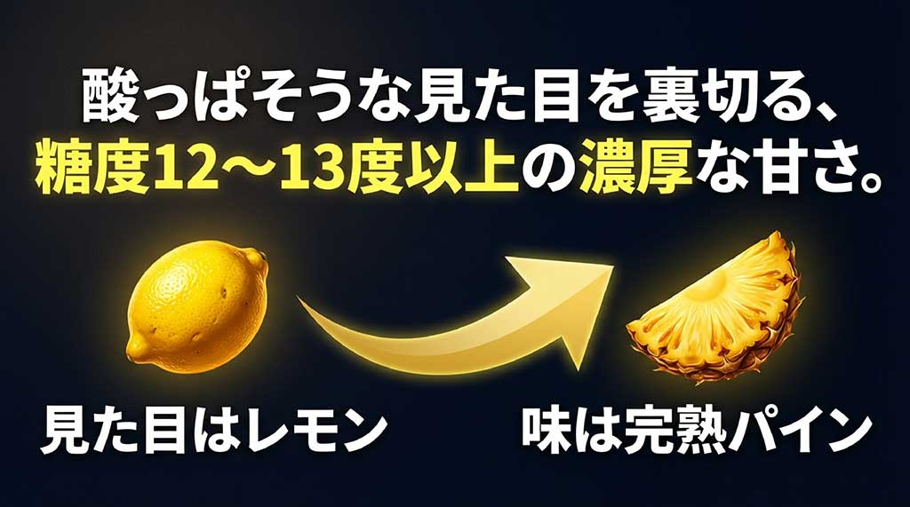 見た目はレモンのようで味は完熟パイン、糖度12〜13度以上の濃厚な甘さを説明するスライド