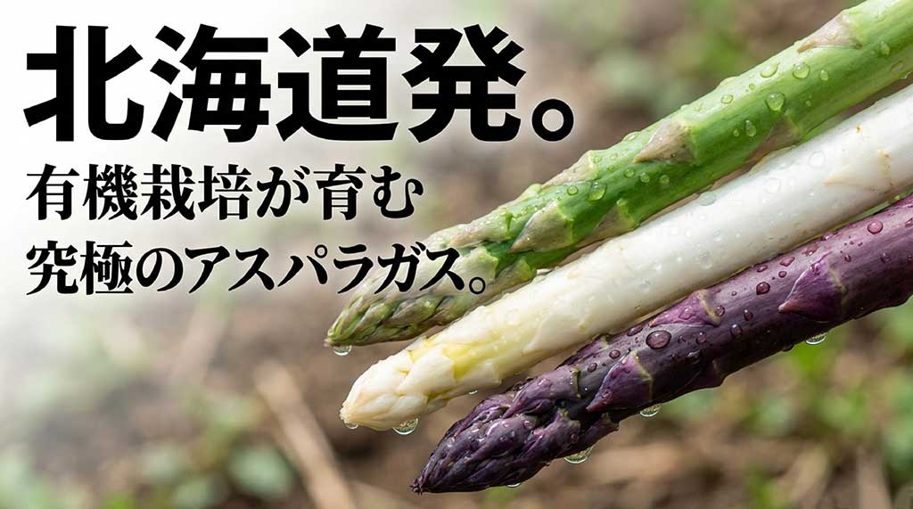 北海道の有機栽培が育む、究極のアスパラガスのイメージ画像