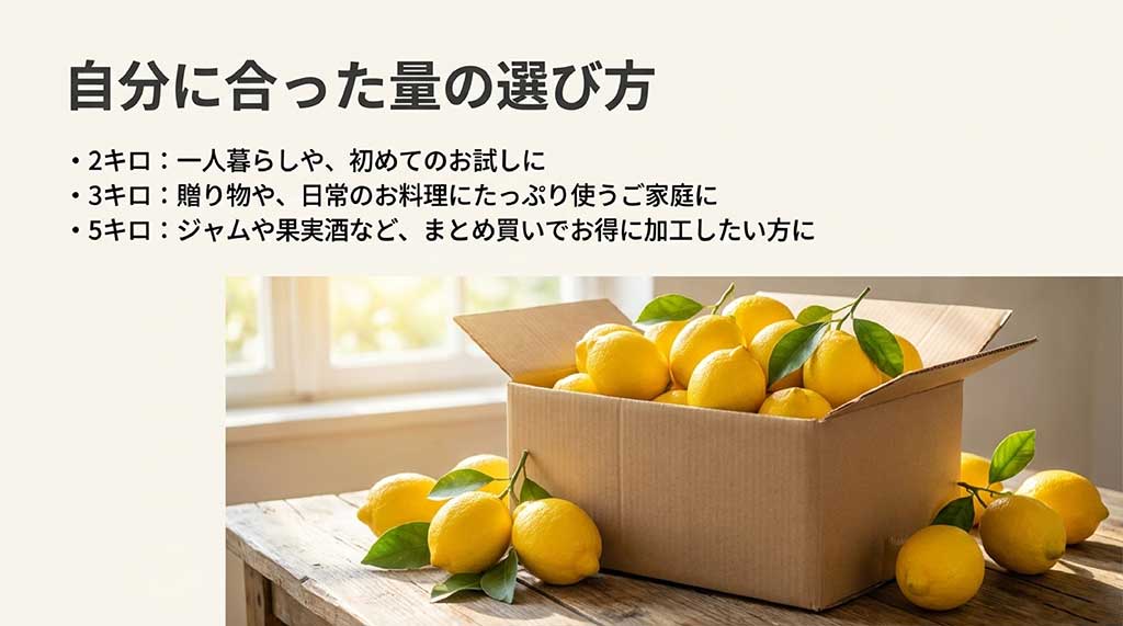 2キロ（一人暮らし）、3キロ（贈り物・日常使い）、5キロ（加工・まとめ買い）の用途別目安。箱に詰まったレモンの写真付き