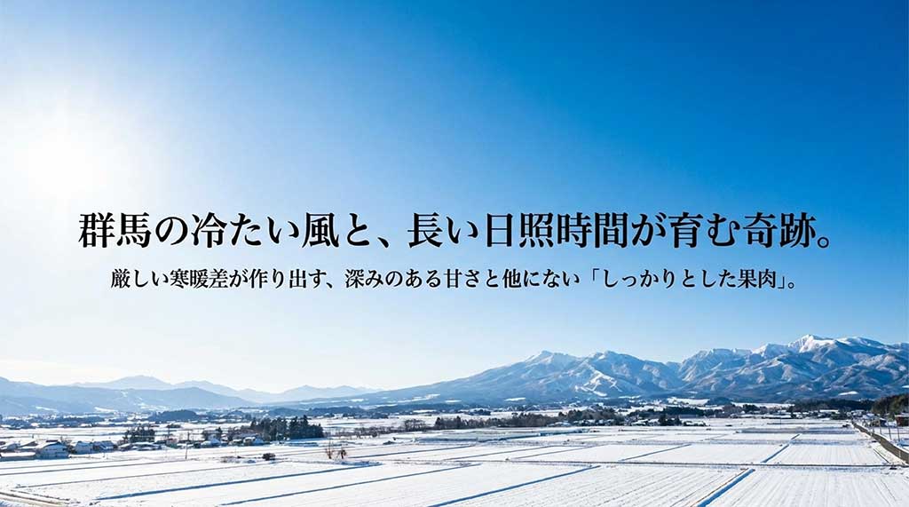 厳しい寒暖差と長い日照時間が作り出す、深みのある甘さとしっかりとした果肉の秘密
