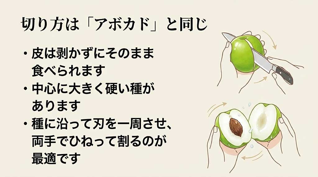種に沿って一周刃を入れ、ひねって割る台湾ナツメの切り方解説図