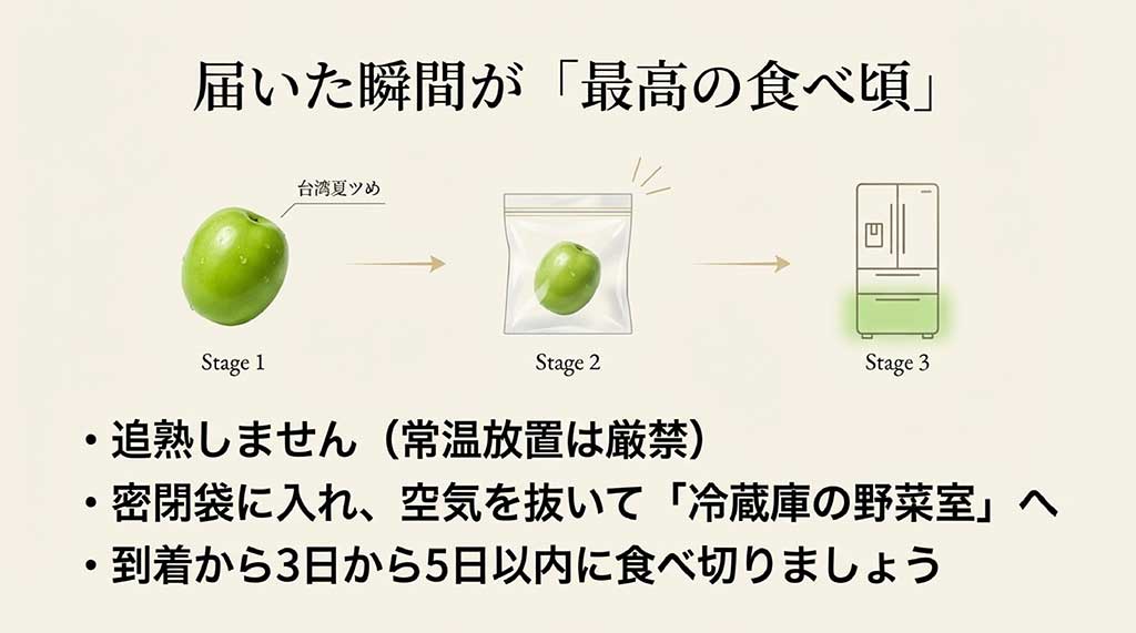 密閉袋に入れて空気を抜き、冷蔵庫の野菜室で保存するステップ図
