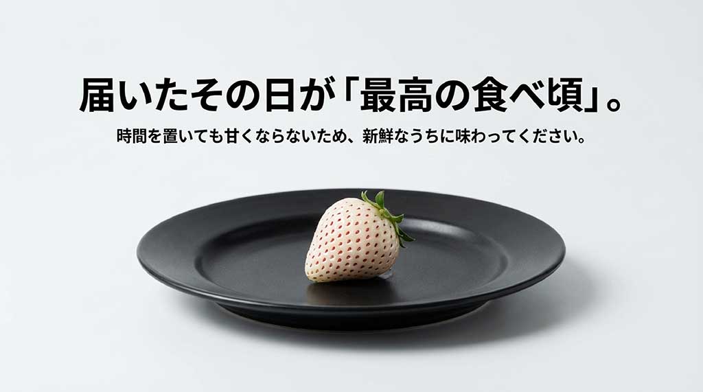 時間を置いても甘くならないため、届いたその日のうちに味わうべきという食べ頃の案内