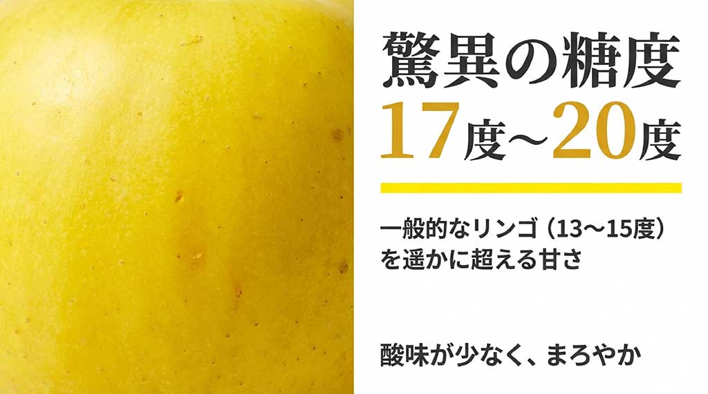 一般的なりんご（13〜15度）に対し、糖度17度〜20度を誇る純情はるかの甘さと、酸味が少なくまろやかな特徴の解説