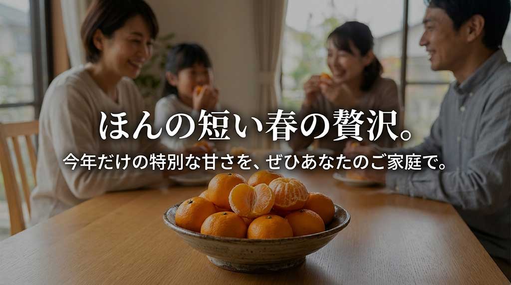 ほんの短い春の贅沢、今年だけの特別な甘さの寿太郎みかんを家庭で楽しむことを勧める結びのスライド