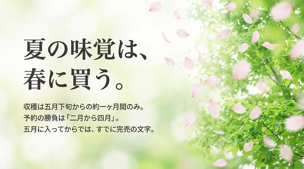 2月から4月が予約の勝負となる、甘々娘の期間限定（5月下旬から1ヶ月）の収穫サイクル