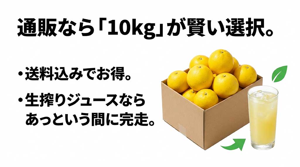 河内晩柑の通販は10kgがお得。送料込みで安く、生搾りジュースにすると大量消費も簡単