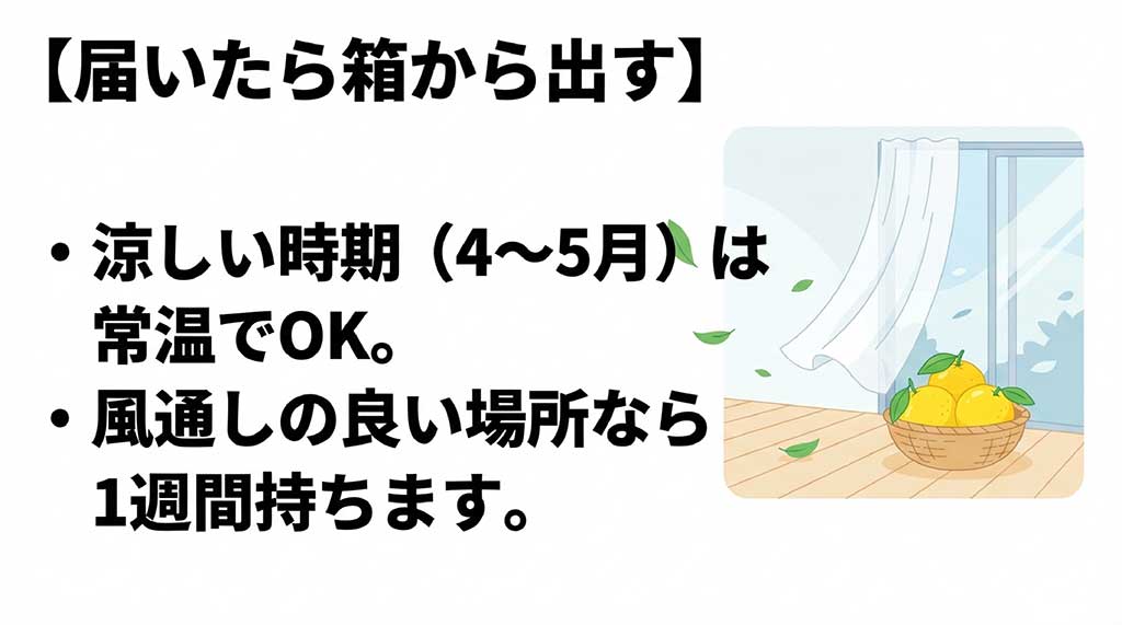4-5月の涼しい時期の河内晩柑の保存方法。箱から出し、風通しの良い場所で常温保存