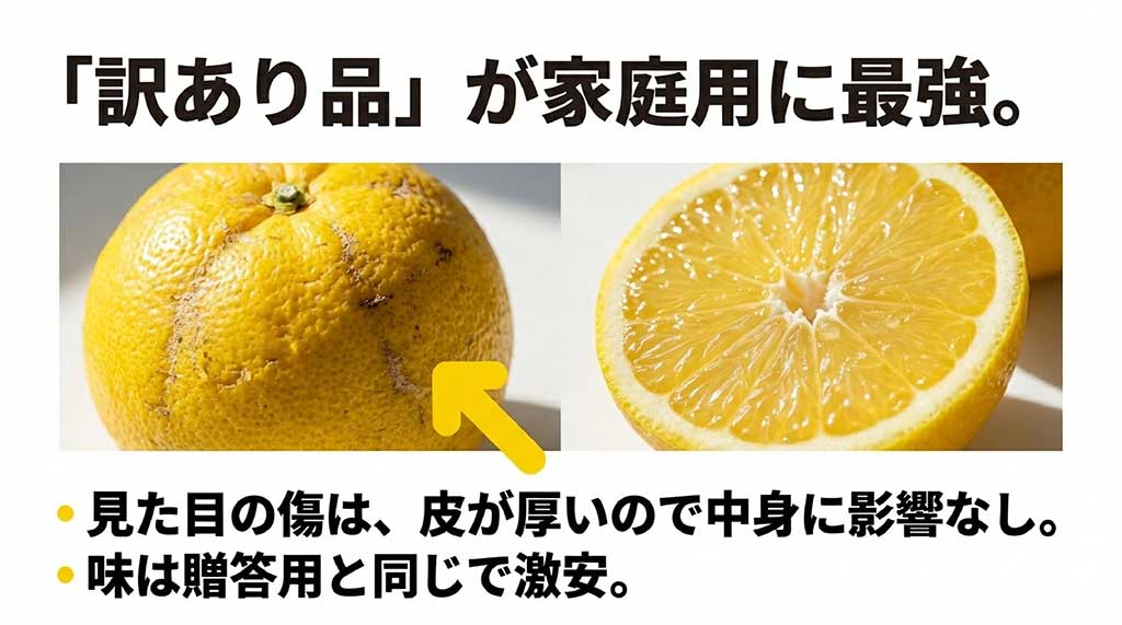 河内晩柑の訳あり品の解説。皮が厚いため外見の傷は中身に影響せず、贈答用と同じ味でお得