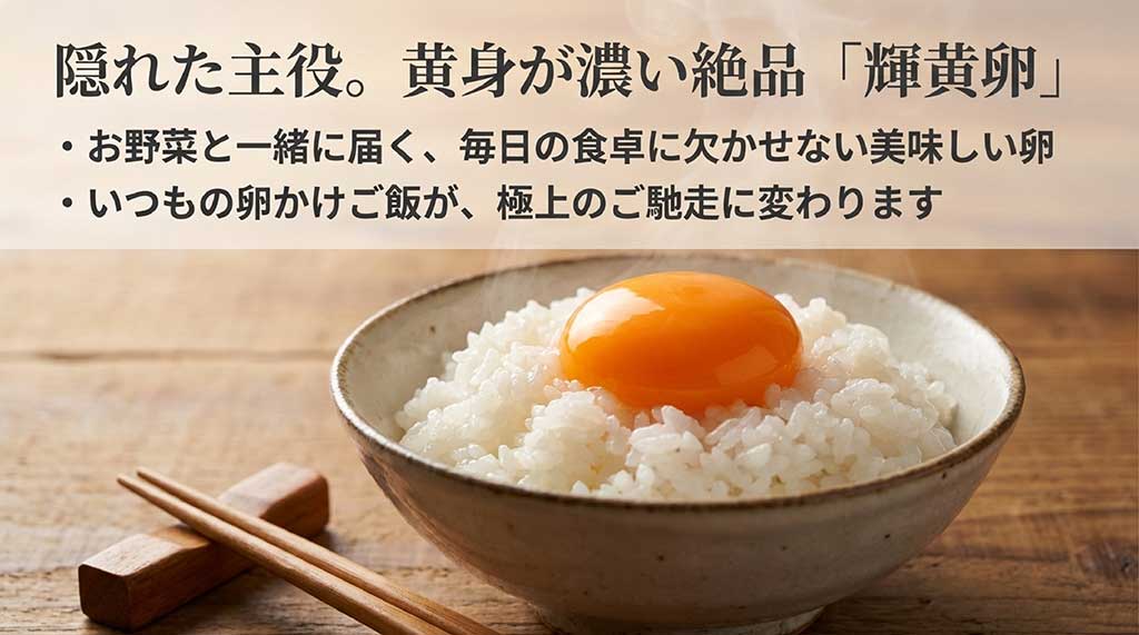 お野菜と一緒に届く黄身が濃い美味しい卵「輝黄卵」。卵かけご飯が極上のご馳走に変わる提案