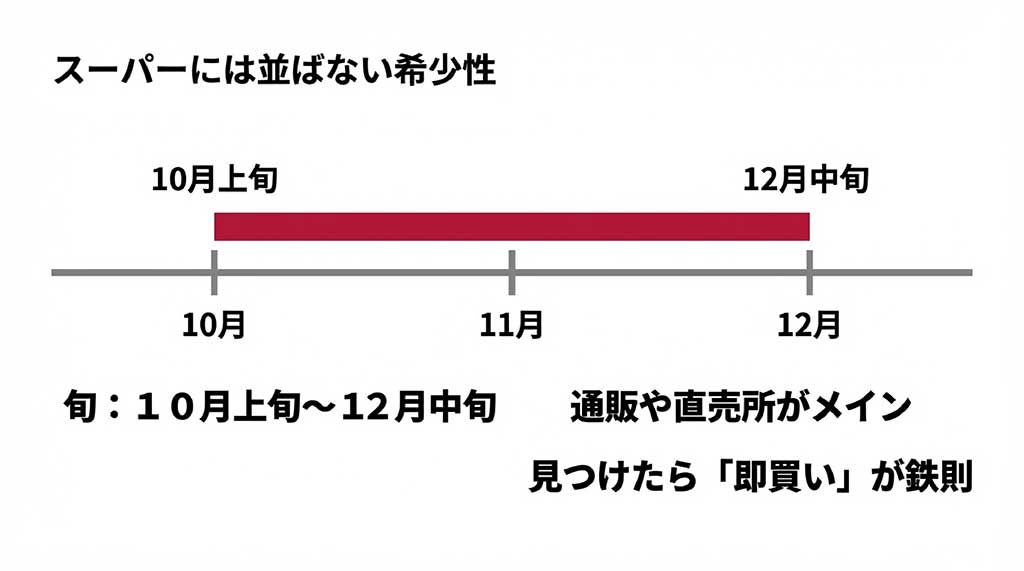 北紅の旬が10月上旬から12月中旬であることを示すタイムライン。スーパーには並ばず、通販や直売所がメインであることを強調