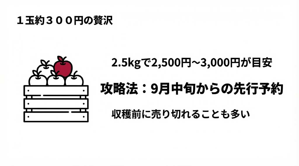 北紅の価格目安（2.5kg 2500円〜3000円）と、9月中旬からの先行予約が重要であることを示すイラスト