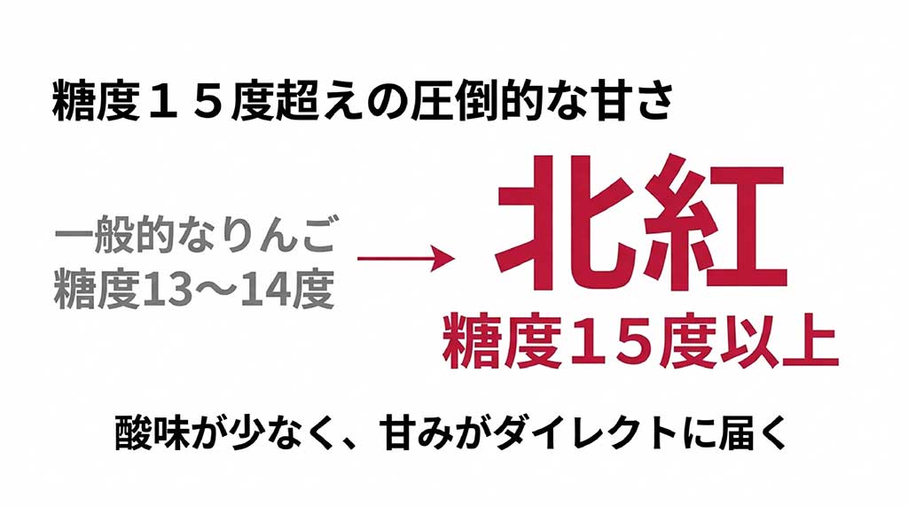 北紅の旬が10月上旬から12月中旬であることを示すタイムライン。スーパーには並ばず、通販や直売所がメインであることを強調