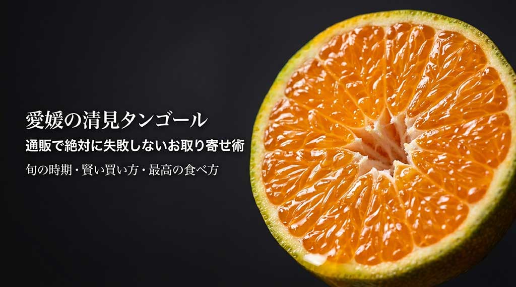 愛媛の清見タンゴール通販で失敗しないお取り寄せ術の表紙画像