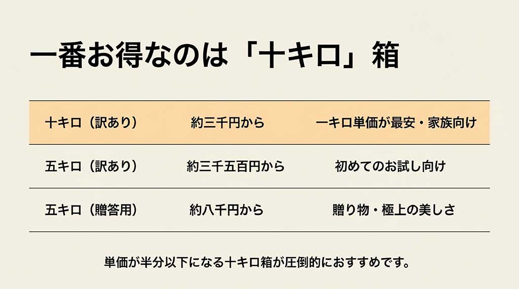 5kgと10kgの価格相場比較。10kg箱がキロ単価最安で圧倒的におすすめであることを示すグラフ