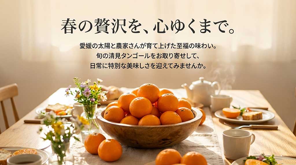 愛媛の太陽が育てた至福の味わい、清見タンゴールを心ゆくまで楽しもうというメッセージ