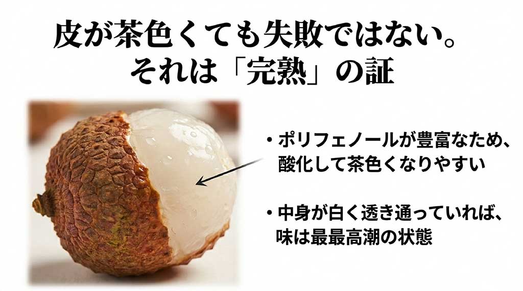 皮が茶色くても失敗ではなく、ポリフェノールによる酸化と完熟の証であることの説明。中身が白ければ最高潮の状態